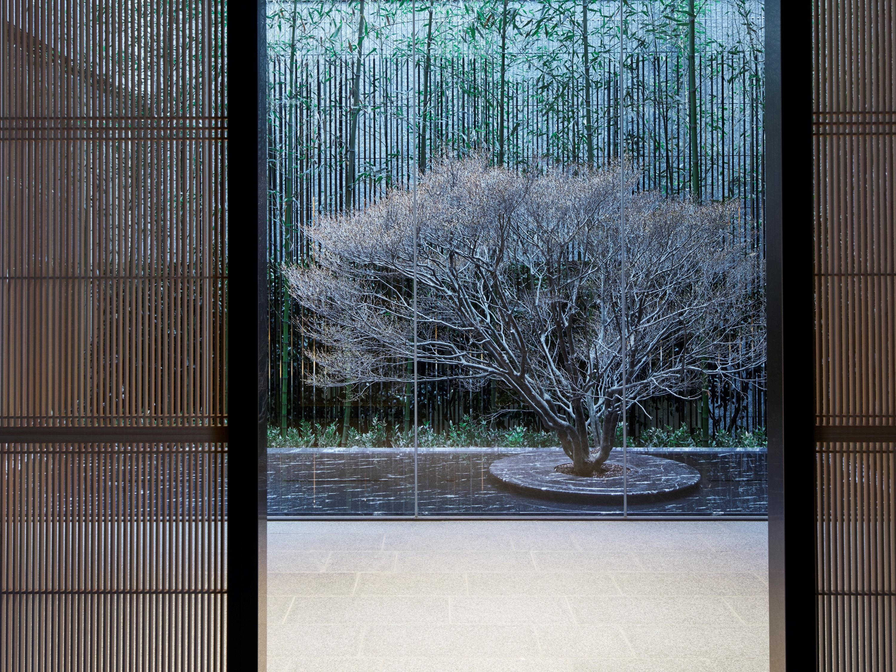 The Thousand Kyōto Esterno foto A view of the garden from the house